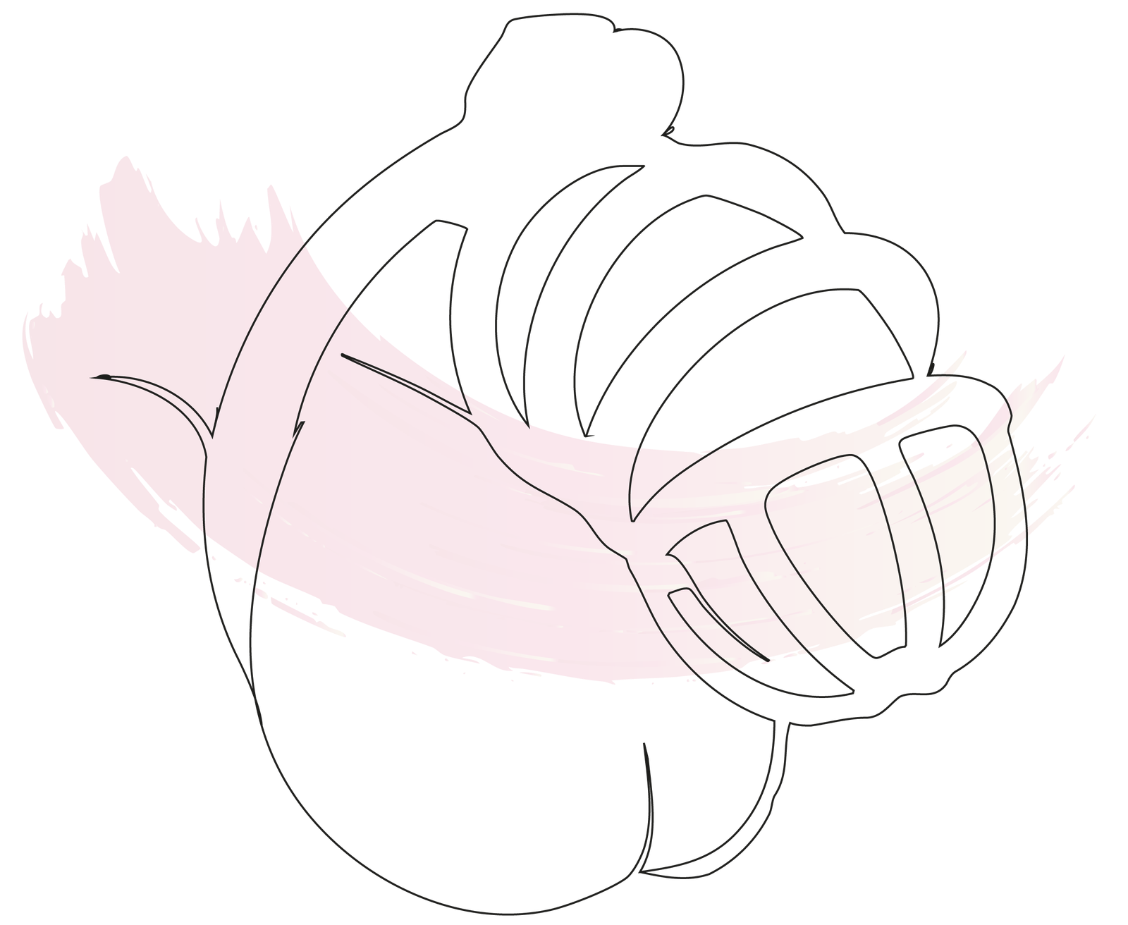 Dans ta cage - Sextos Doux